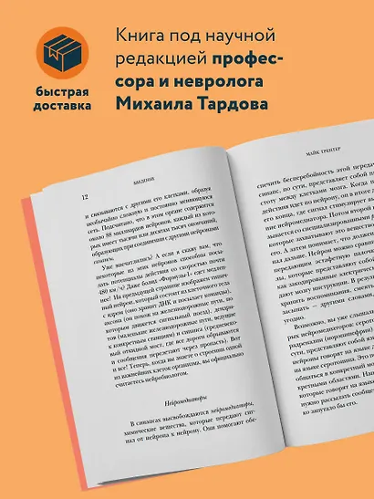 МОЗГ. Советы ученого, как по максимуму использовать самый совершенный в мире орган - фото 5