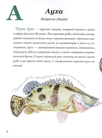 Азбука природы Дальнего востока - фото 2