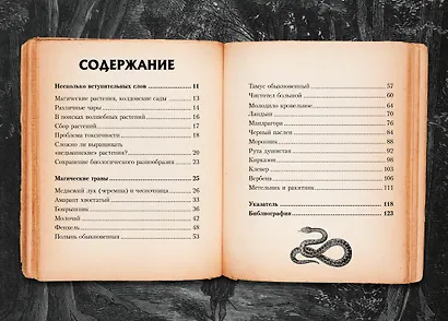 Маленький гримуар ведьмы. Зелья и волшебные травы - фото 10