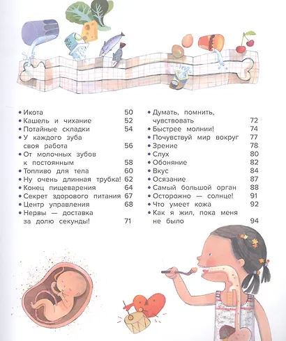 Тело человека. 44 удивительных факта о теле человека - фото 3