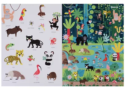 Первая энциклопедия животных. Первые книжки малыша - фото 5