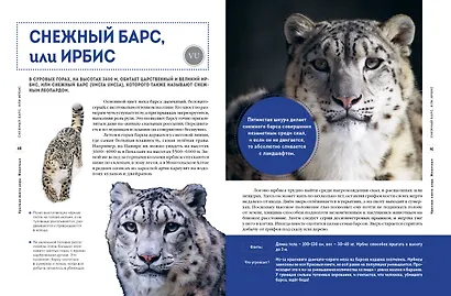 Красная книга мира. Животные - фото 7