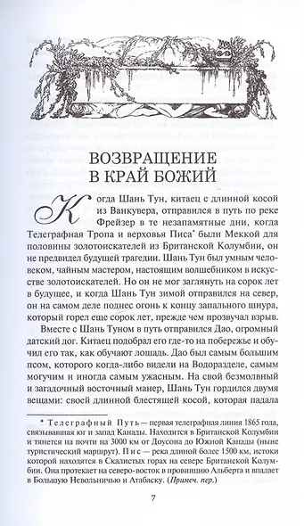 Возвращение в край Божий. Женщина из страны Господа Бога. Роман, рассказы - фото 2