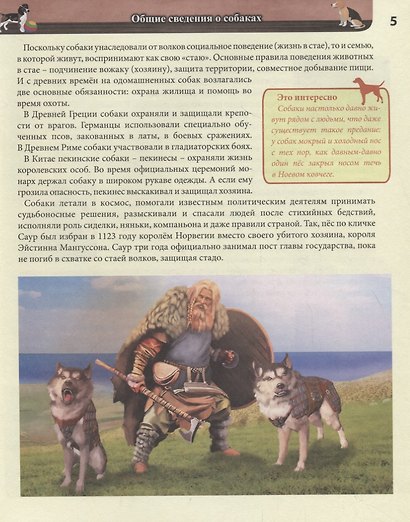 Собаки. Энциклопедия - фото 4