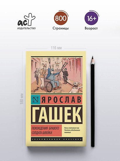 Похождения бравого солдата Швейка - фото 4