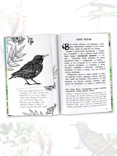 Бюро лесных услуг - фото 5