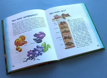 Миллион вопросов о живой и неживой природе, человеке и обществе и самых разных любопытных вещах - фото 5