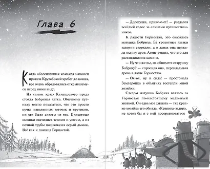 Тайна незнакомца в шляпе - фото 8