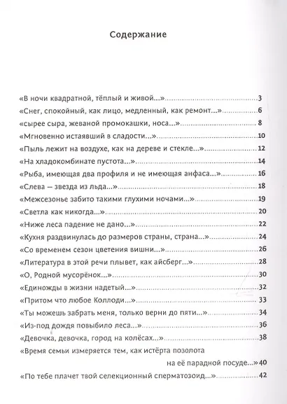 Кот, лошадь, трамвай, медведь - фото 2