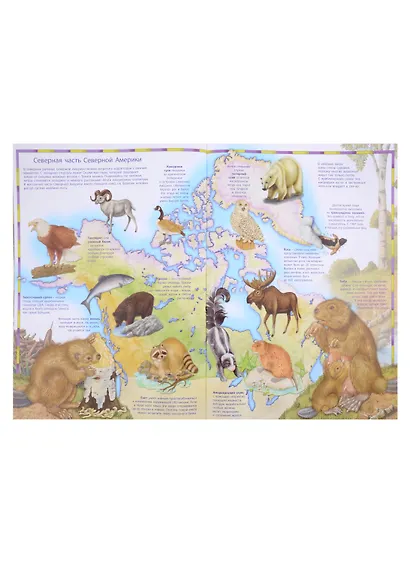 Первый атлас для детей. Животные - фото 5