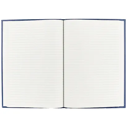 Книга учёта, линейка, 96 листов, А4 - фото 2