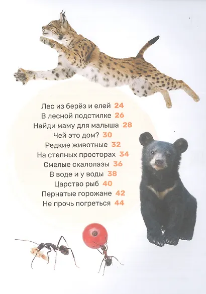 Животные - фото 3