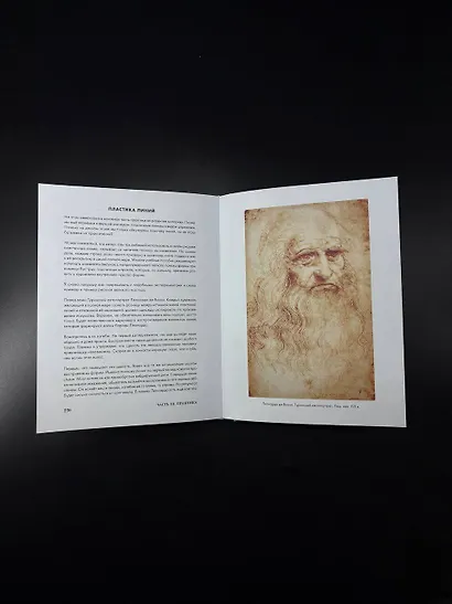 Структура таланта. От иллюзий к реальности: как стать настоящим художником - фото 15