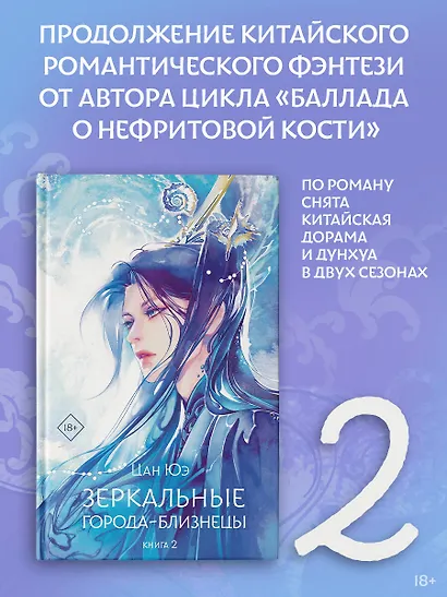 Зеркальные города-близнецы. Книга 2 - фото 3