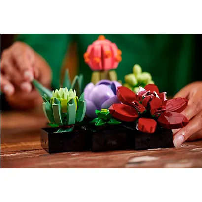 LEGO Botanical Collection: Суккуленты, 771 деталь (10309) - фото 4