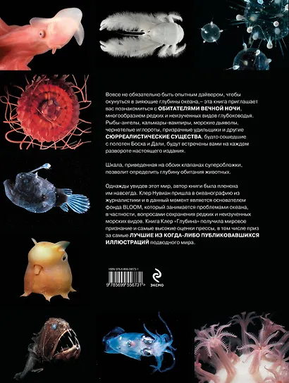 Глубина. Таинственный мир океанских пучин - фото 2