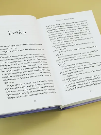 Рожденная огнем. Книга 2. Феникс и ледяной дворец - фото 12