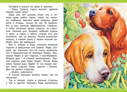 Рассказы - фото 11