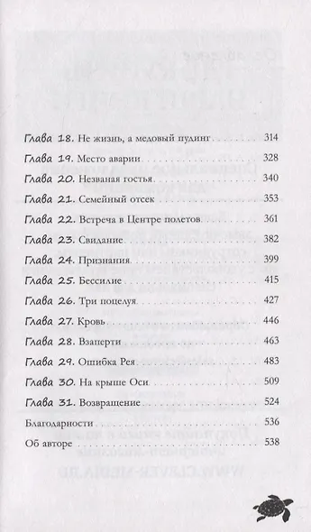 Красавица - фото 10