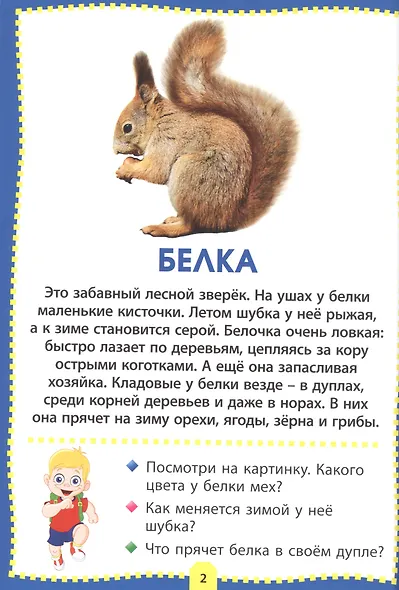 Лесные животные. Фотокнига для самых маленьких - фото 2