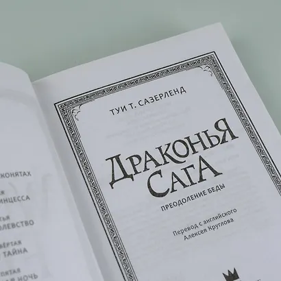 Драконья сага. Преодоление Беды - фото 8