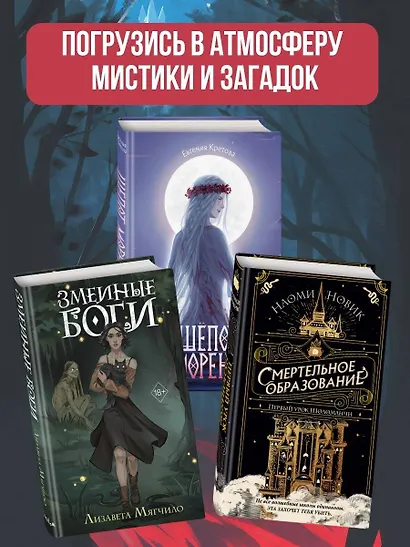 Академия «Терем» - фото 6