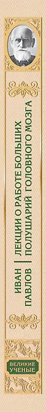 Лекции о работе больших полушарий головного мозга - фото 5