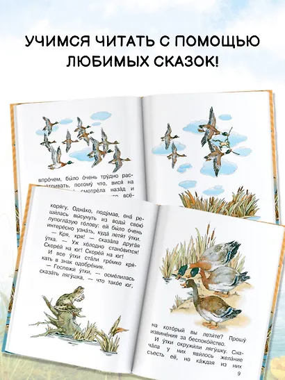 Лягушка-путешественница и другие сказки - фото 6