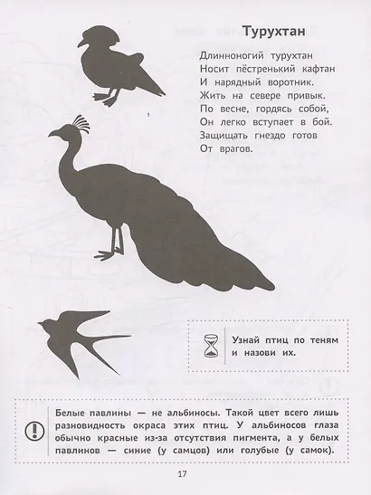 Пойдем в зоопарк: виммельбух-прогулка с мышонком Ерошкой - фото 5