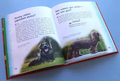 Миллион вопросов о животных, обо мне и мире вокруг и самых разных любопытных вещах - фото 4