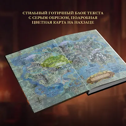 Костер и Саламандра. Книга 2 - фото 6