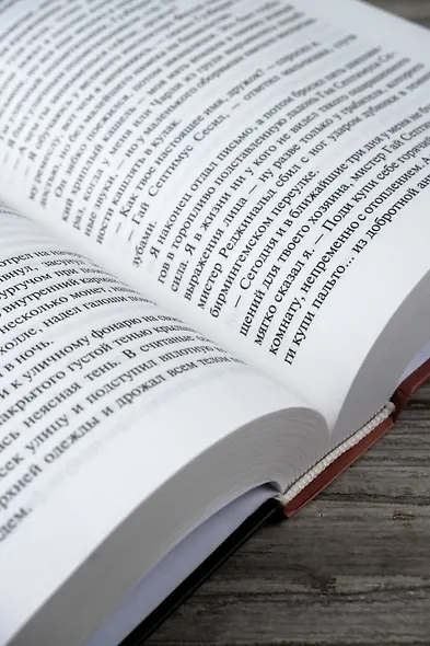 Друд, или Человек в черном: роман - фото 12