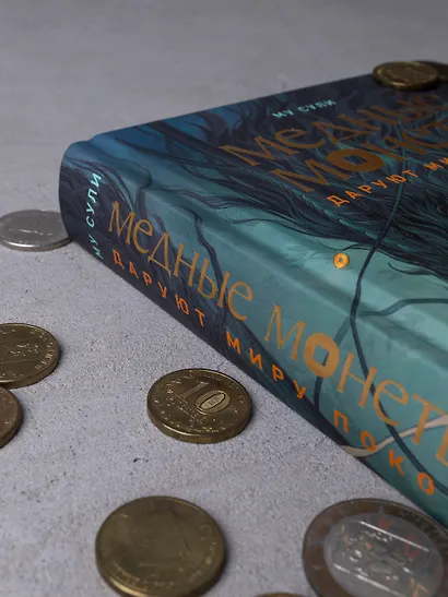 Медные монеты даруют миру покой. Том 1: роман - фото 8