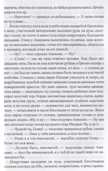 Деревенский детектив - фото 4