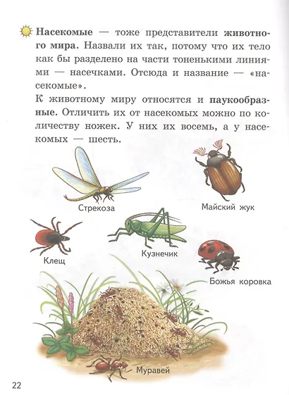 Мир вокруг нас (5-6 лет) - фото 4