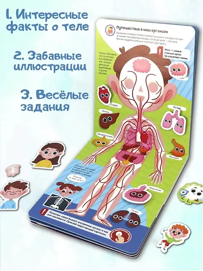 Липучки. Моё тело - фото 3
