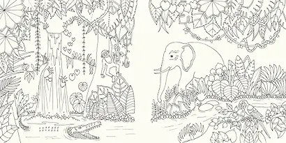 Удивительные джунгли. Книга для творчества и вдохновения - фото 4