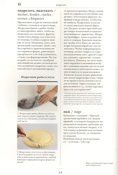 Гастрономическая энциклопедия Ларусс Том VIII - фото 2