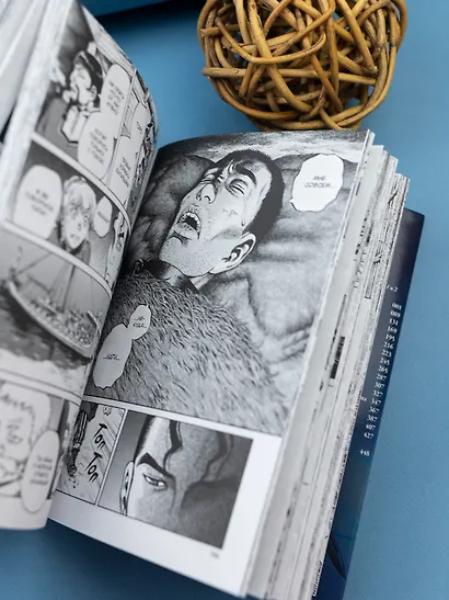 Сага о Винланде. Книга 1 (Том 1, 2) (Vinland Saga). Манга - фото 12