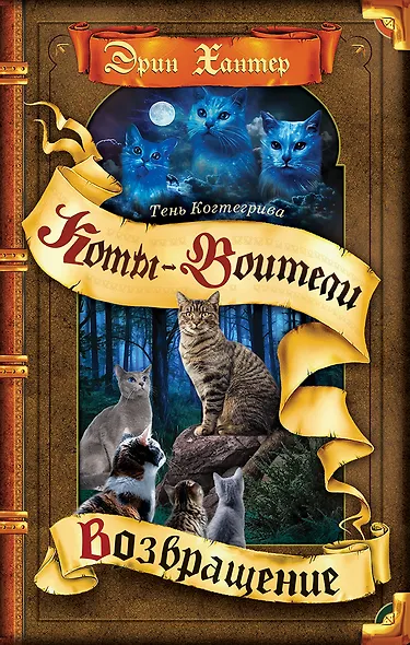 Тень Когтегрива. Книга 2. Возвращение - фото 1
