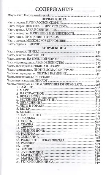 100ВР Доктор Живаго - фото 2