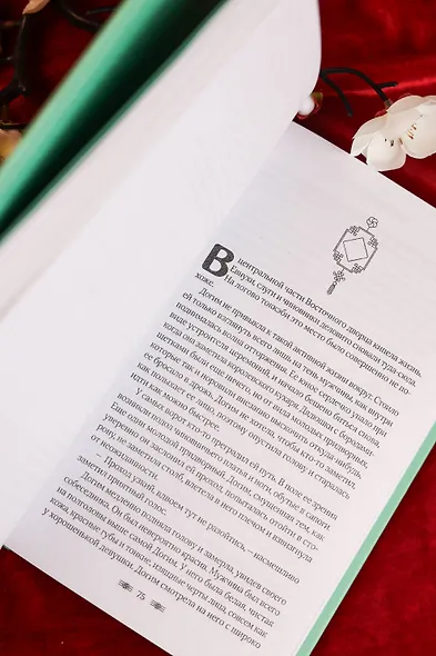 Красные манжеты. Книга 1 - фото 14