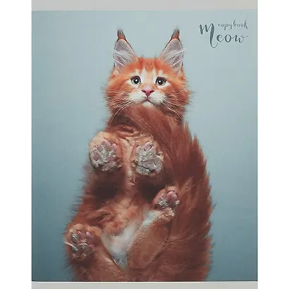 Тетрадь в клетку Listoff, "Пушистые лапки", 96 листов, в ассортименте - фото 4