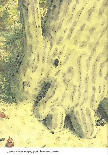 14 лесных мышей. Ужин с луной - фото 2