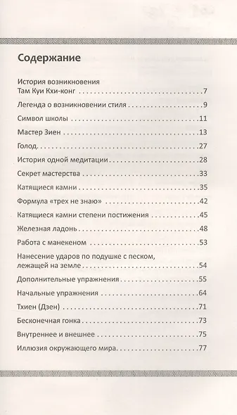 Учение о пустоте. Практика вьетнамского боевого искусства - фото 2