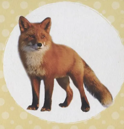 ЦК 145х145. МОИ ЛЕСНЫЕ ДРУЗЬЯ - фото 5