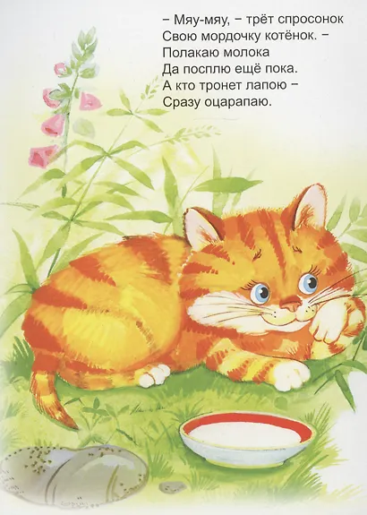 Утренние голоса - фото 4