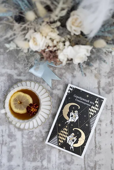 Серебряный век. Стихотворения - фото 11