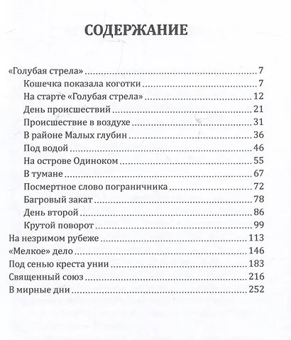 Голубая стрела - фото 3