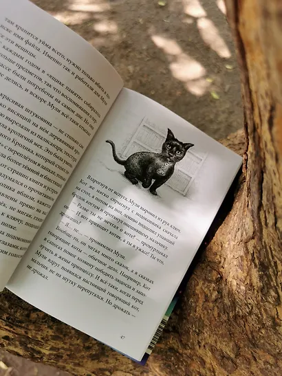 Книжный лес - фото 10